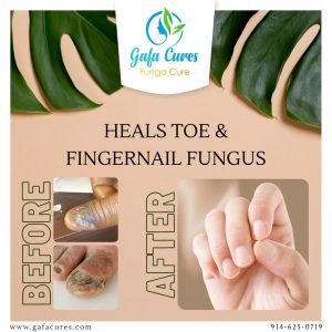 256377209_102834085556238_5798455449064770406_n