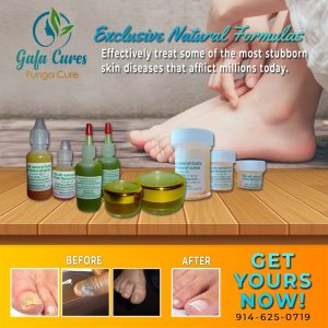 256448746_102832722223041_5018458511281800600_n